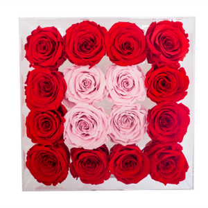 RED AND LIGHT PINK COLOR PRESERVED ROSES | MEDIUM ACRYLIC ROSE BOX