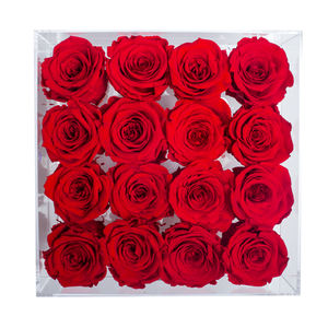 RED COLOR PRESERVED ROSES | MEDIUM ACRYLIC ROSE BOX