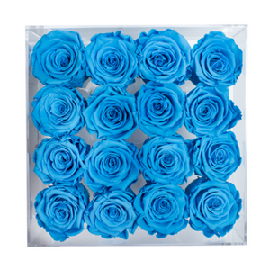 BLUE PRESERVED ROSES | MEDIUM ACRYLIC ROSE BOX