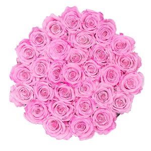 PINK PRESERVED ROSES | MEDIUM ROUND WHITE HUGGY ROSE BOX