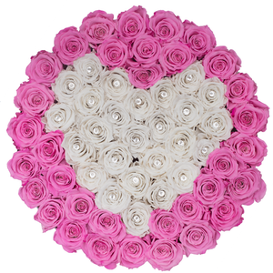 PINK AND WHITE HEART PRESERVED ROSES | LARGE ROUND WHITE HUGGY ROSE BOX