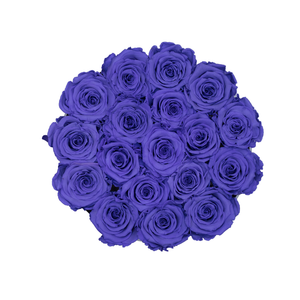 Purple Preserved Roses | Small Round White Huggy Rose Box