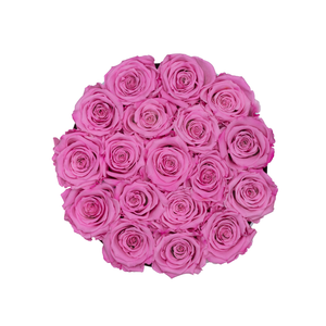 PINK PRESERVED ROSES | SMALL ROUND WHITE HUGGY ROSE BOX