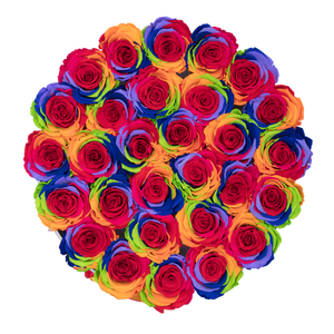 RAINBOW PRESERVED ROSES | MEDIUM ROUND WHITE HUGGY ROSE BOX
