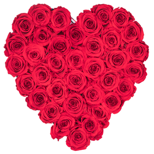 RED PRESERVED ROSES | HEART WHITE HUGGY ROSE BOX