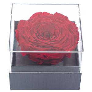 RED MEGA PRESERVED ROSE | CRYSTALLINE ROSE BOX