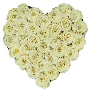 Light Yellow Preserved Roses | Heart Black Huggy Rose Box