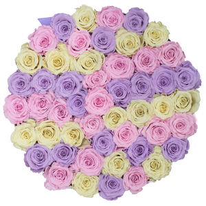 Candy Color Preserved Roses | Large Round White Huggy Rose Box