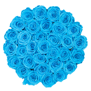 Blue Preserved Roses | Medium Round White Huggy Rose Box