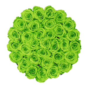 Green Preserved Roses | Medium Round Black Huggy Rose Box