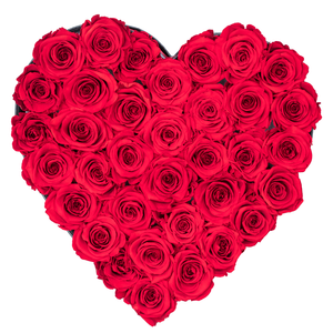 Red Preserved Roses | Heart Black Huggy Rose Box