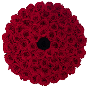Red Preserved Roses | Large Round White Huggy Rose Box