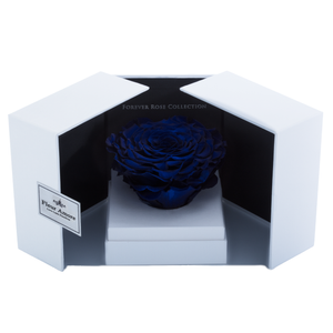Royal Blue Mega Preserved Rose | Swing Opening Box