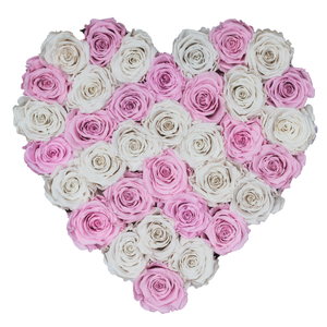 Light Pink and White Preserved Roses | Heart White Huggy Rose Box