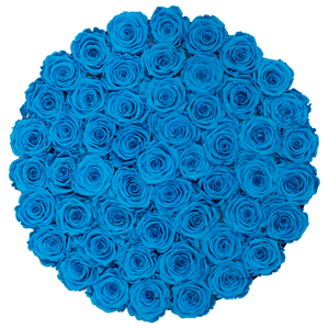 Blue Preserved Roses | Large Round White Huggy Rose Box