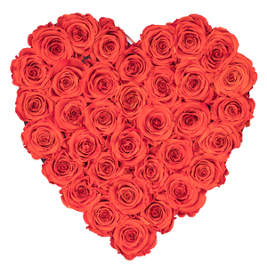Orange Preserved Roses | Heart White Huggy Rose Box