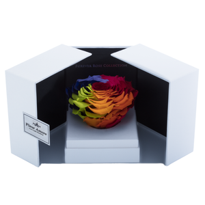 Rainbow Mega Preserved Rose | Swing Opening Box
