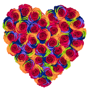 Rainbow Preserved Roses | Heart White Huggy Rose Box