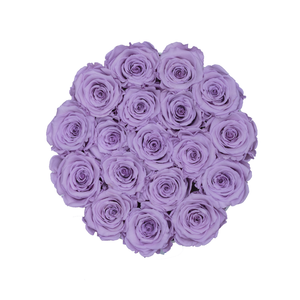 Light Purple Preserved Roses | Small Round White Huggy Rose Box