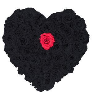 Black with One Red Preserved Roses | Heart Black Luxury Rose Box