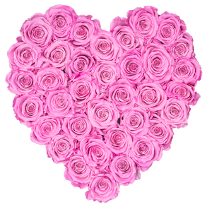 Pink Preserved Roses | Heart White Huggy Rose Box