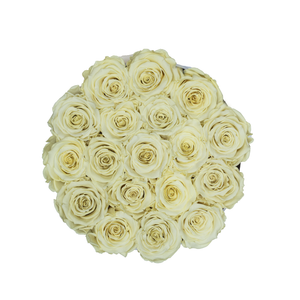 Light Yellow Preserved Roses | Small Round White Huggy Rose Box