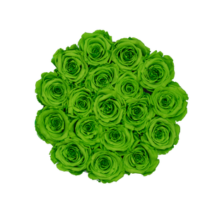 Green Preserved Roses | Small Round White Huggy Rose Box