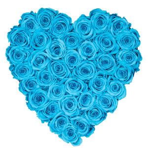 Blue Preserved Roses | Heart White Huggy Rose Box