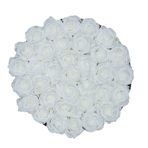 White Preserved Roses | Medium Round Black Huggy Rose Box
