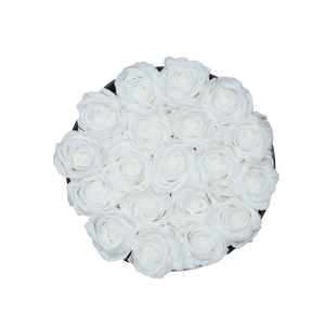 White Preserved Roses | Small Round Black Huggy Rose Box