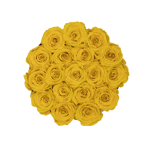 Yellow Preserved Roses | Small Round White Huggy Rose Box