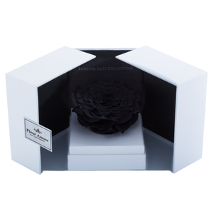 Black Mega Preserved Rose | Swing Opening Box