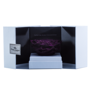 Dark Purple Mega Preserved Rose | Swing Opening Box