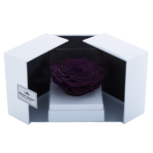 Dark Purple Mega Preserved Rose | Swing Opening Box