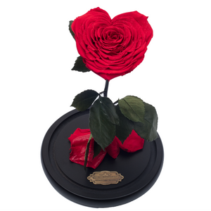 Red with Crystal Dust Heart Shape Preserved Rose | Beauty and The Beast Glass Dome