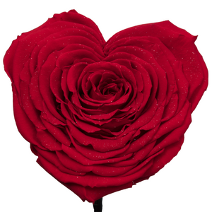 Red with Crystal Dust Heart Shape Preserved Rose | Beauty and The Beast Glass Dome