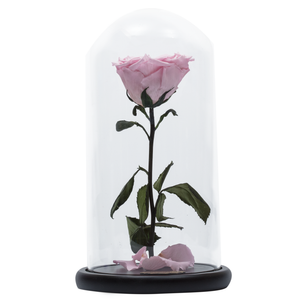 Pink with Crystal Dust Heart Shape Preserved Rose | Beauty and The Beast Glass Dome